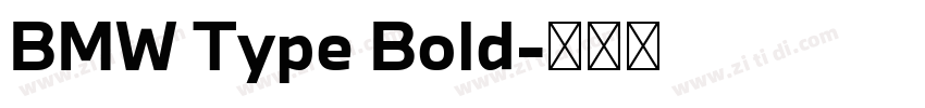 BMW Type Bold字体转换 BMW Type Bold字体转换